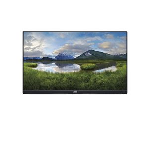 Monitor 22 inch, Dell P2219H